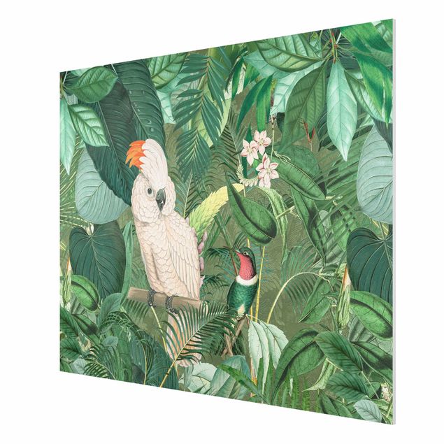 quadro com flores Vintage Collage - Kakadu And Hummingbird