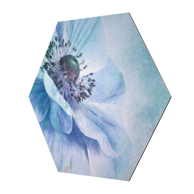 Quadros decorativos Flower In Turquoise