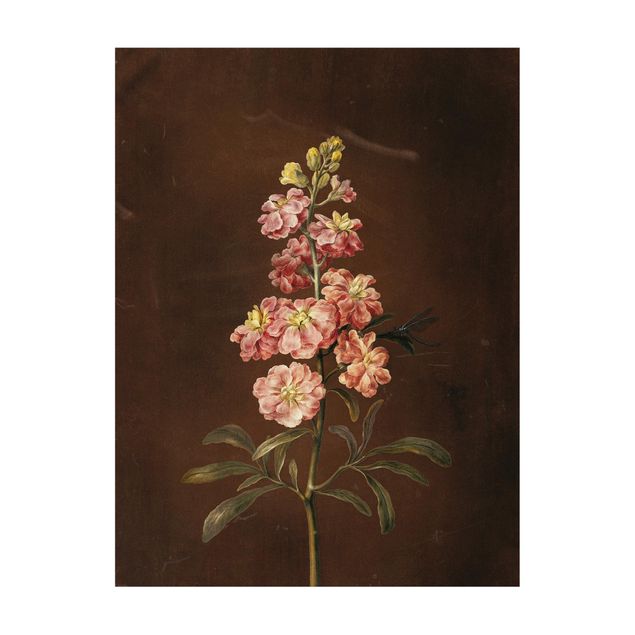 tapete flor Barbara Regina Dietzsch - A Light Pink Gillyflower