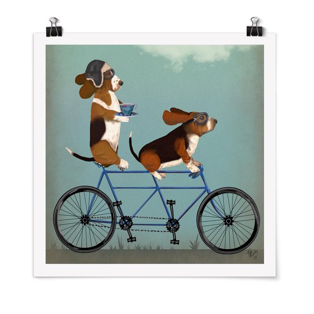 Quadros cães Cycling - Bassets Tandem