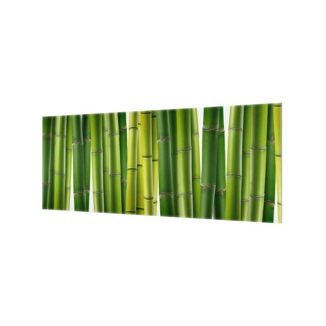 Painel anti-salpicos de cozinha Bamboo Plants
