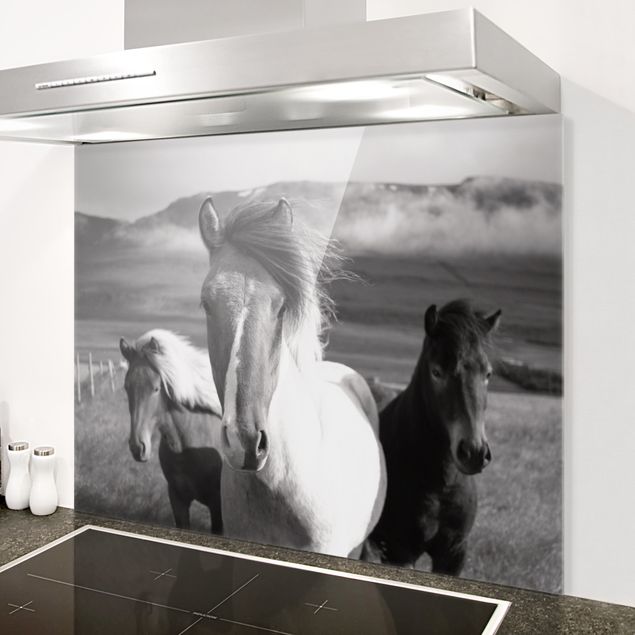 decoraçao para parede de cozinha Wild Horses Black And White