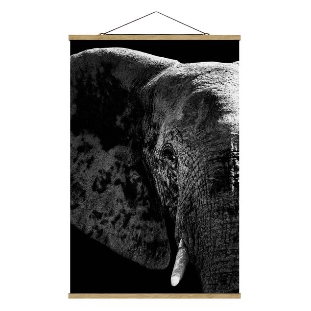 Quadros modernos African Elephant black and white