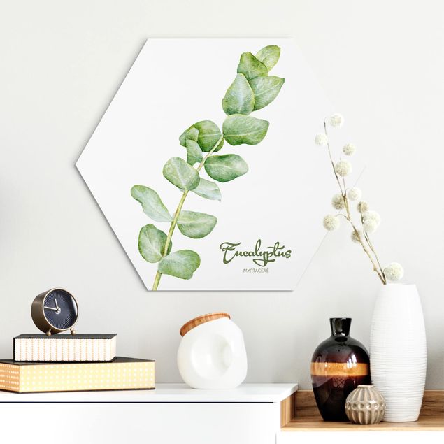 decoraçao cozinha Watercolour Botany Eucalyptus