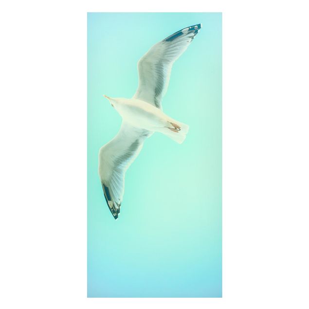 Quadros magnéticos animais Blue Sky With Seagull