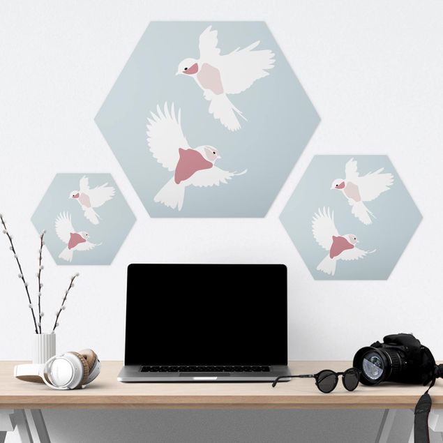 Quadros hexagonais Line Art Pigeons Pastel