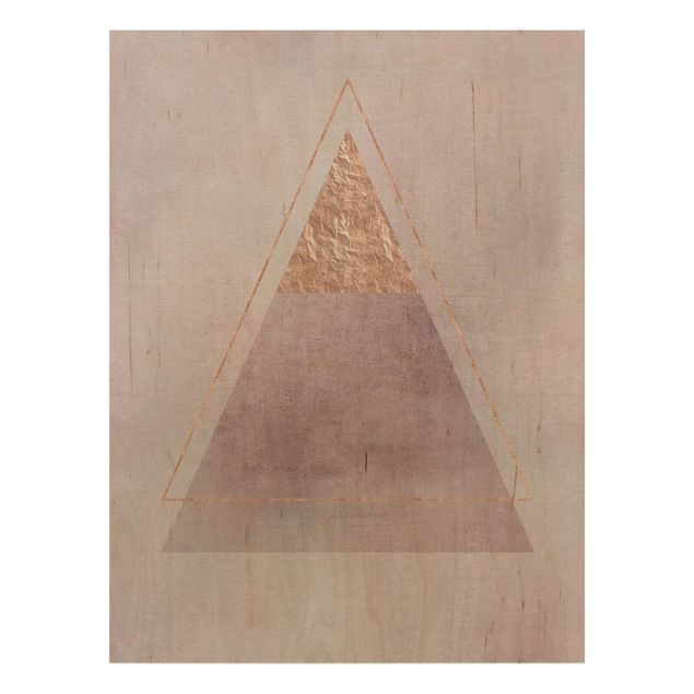 Quadros de Andrea Haase Geometry In Pink And Gold II