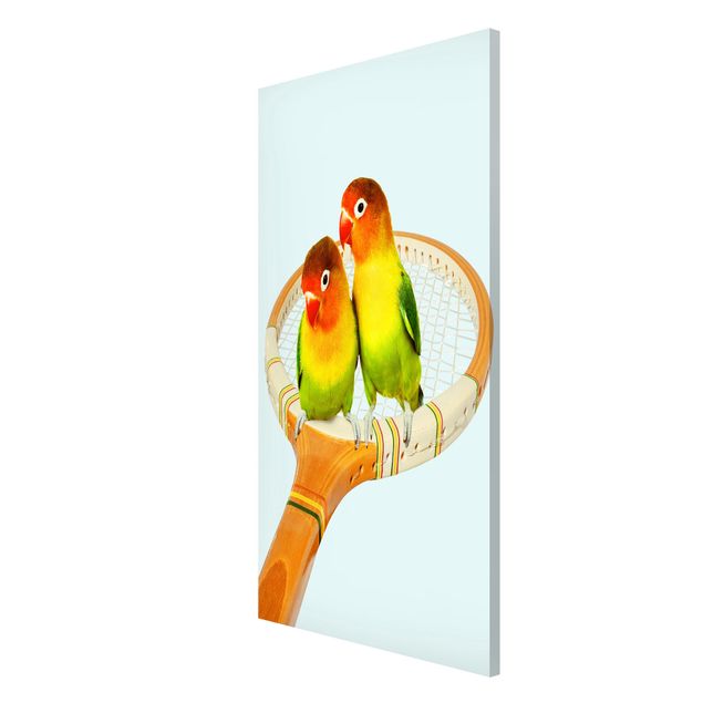 Quadros magnéticos animais Tennis With Birds