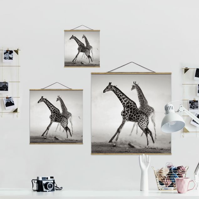 quadros decorativos para sala modernos Giraffe Hunt