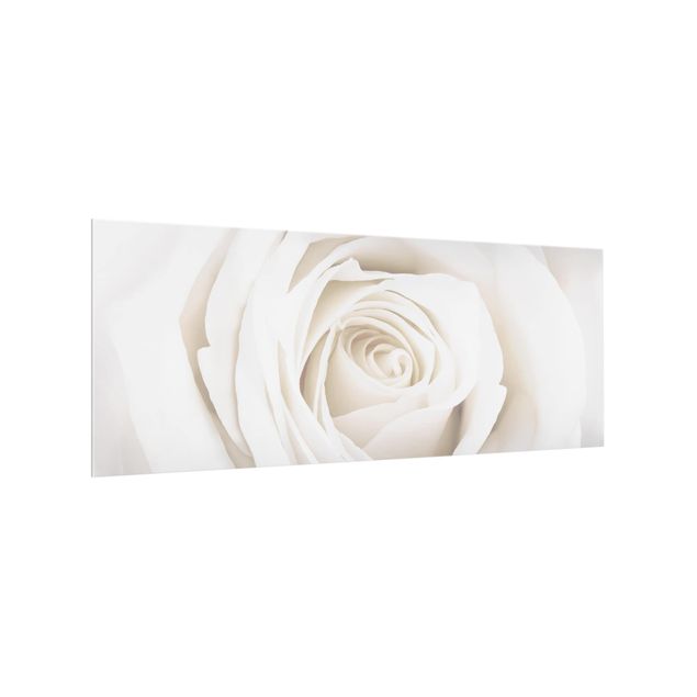 painéis antisalpicos Pretty White Rose