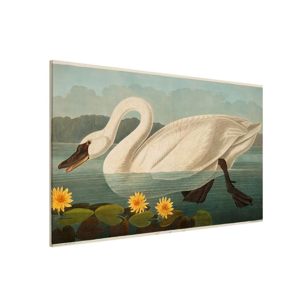 decoraçao para parede de cozinha Vintage Board American Swan