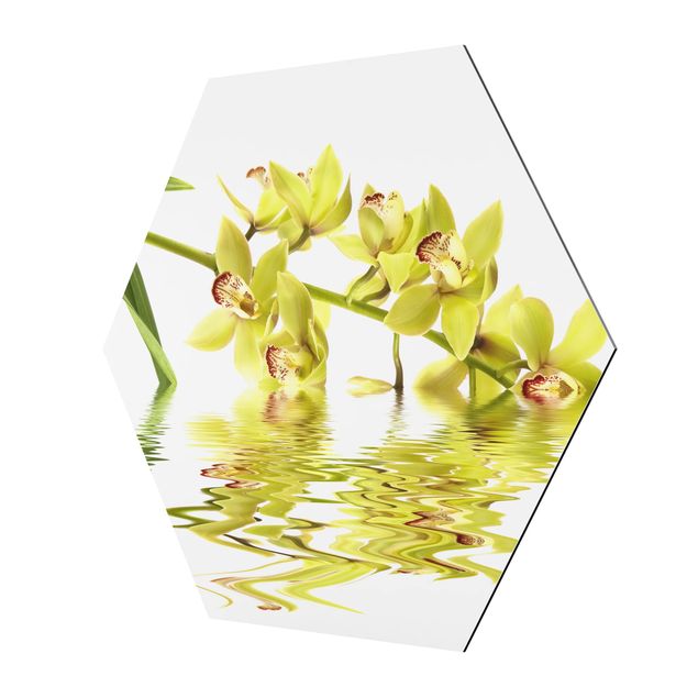 quadros para parede Elegant Orchid Waters