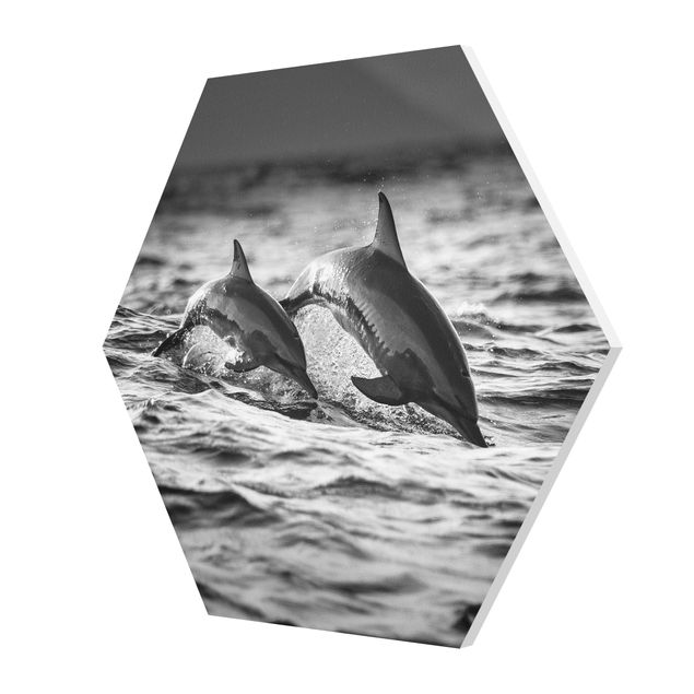 quadros preto e branco para decoração Two Jumping Dolphins
