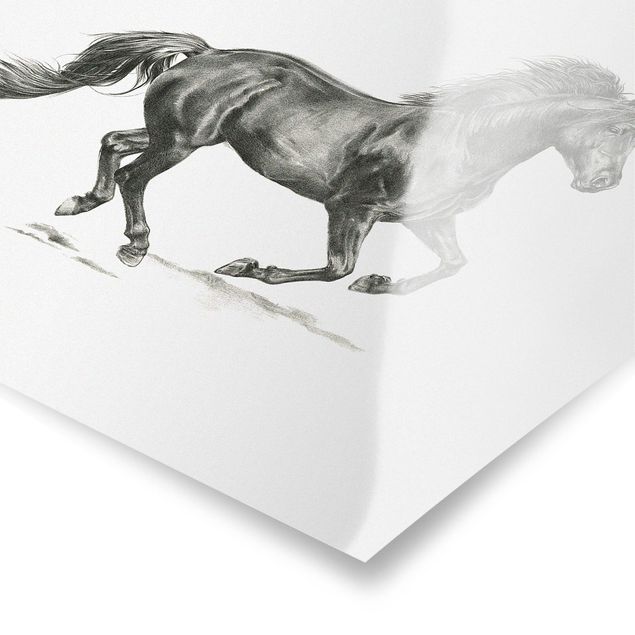 quadros decorativos para sala modernos Wild Horse Trial - Stallion