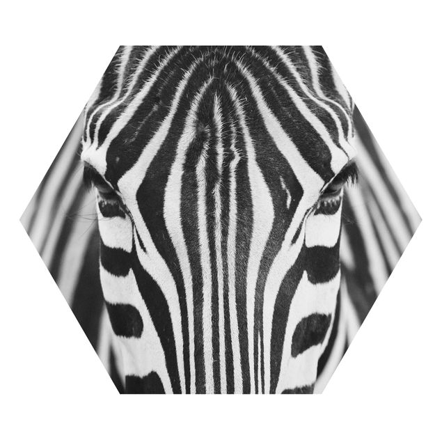 Quadros modernos Zebra Look