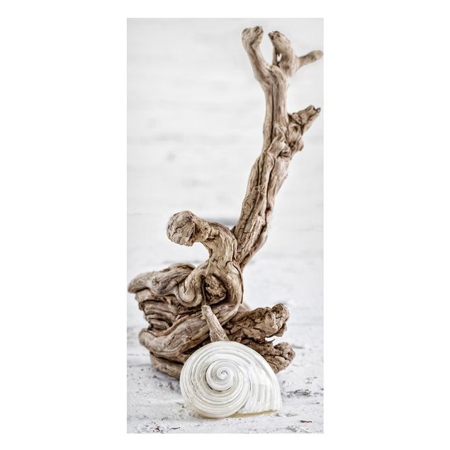 quadros de paisagens White Snail Shell And Root Wood