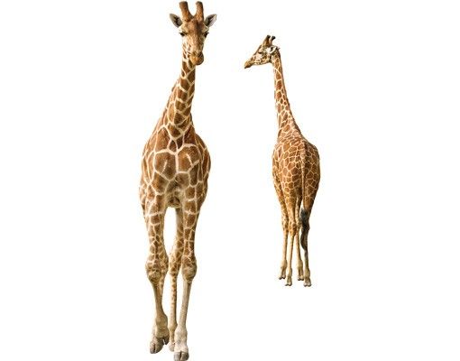 Autocolantes para vidros animais Two Giraffes