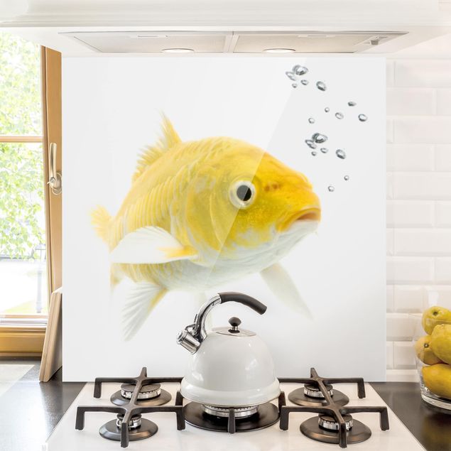 decoraçao cozinha Goldfish Yellow