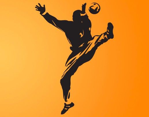 Autocolantes de parede desporto No.UL557 Handball goalie