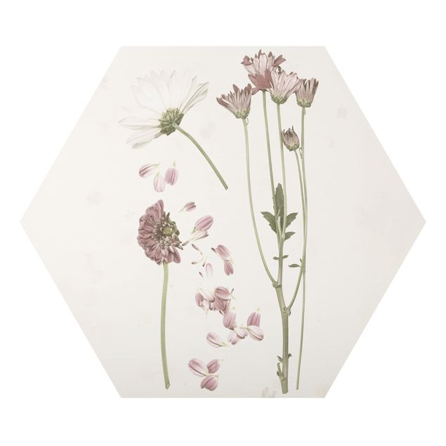 decoração quadros Herbarium In Pink II
