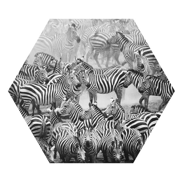 quadro animais quarto bebé Zebra herd II