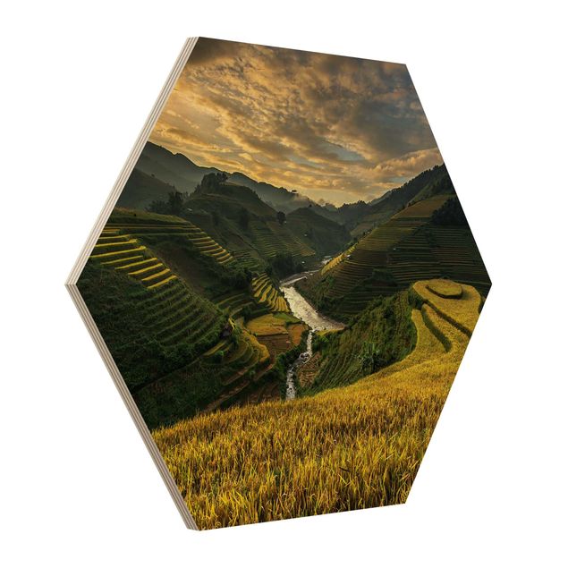 quadro de madeira para parede Rice Plantations In Vietnam