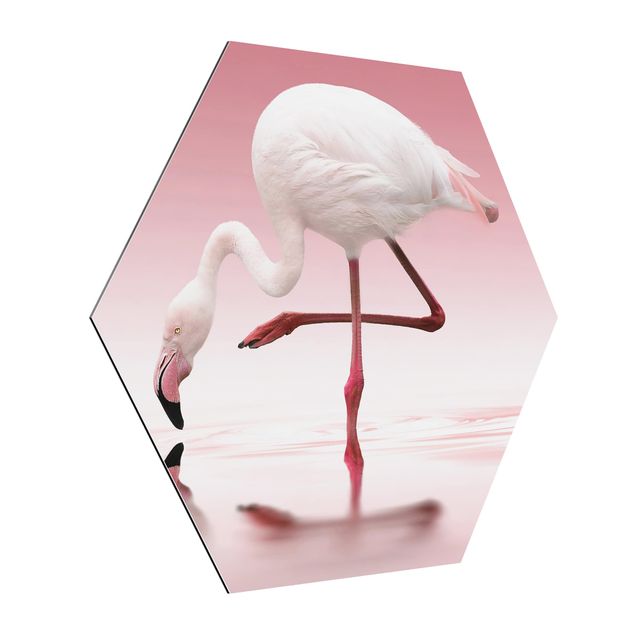 Quadros modernos Flamingo Dance