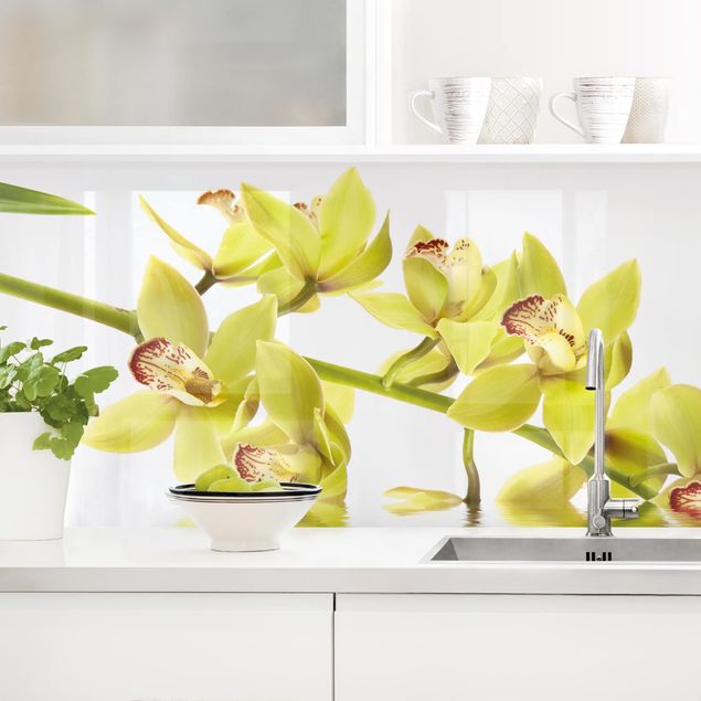 decoraçao para parede de cozinha Elegant Orchid Waters