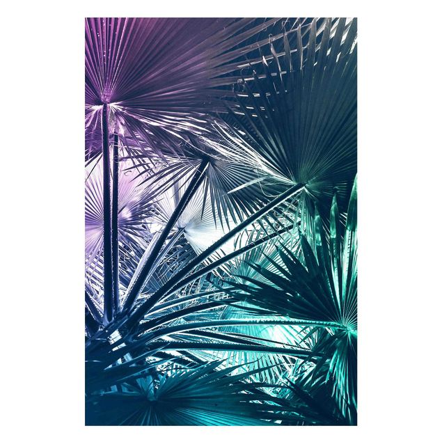 quadros de paisagens Tropical Plants Palm Leaf In Turquoise IIl