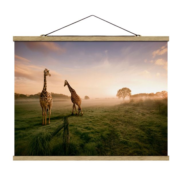 Quadros natureza Surreal Giraffes