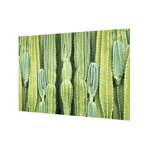 Painel anti-salpicos de cozinha Cactus Wall