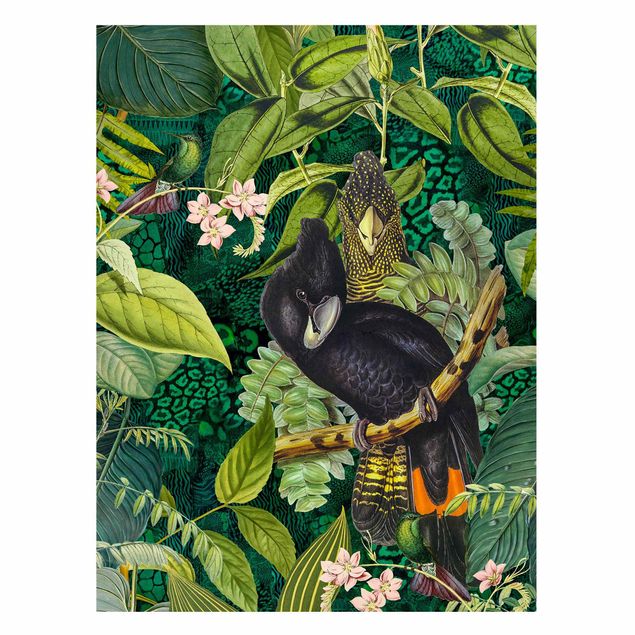 Quadros selva Colourful Collage - Cockatoos In The Jungle
