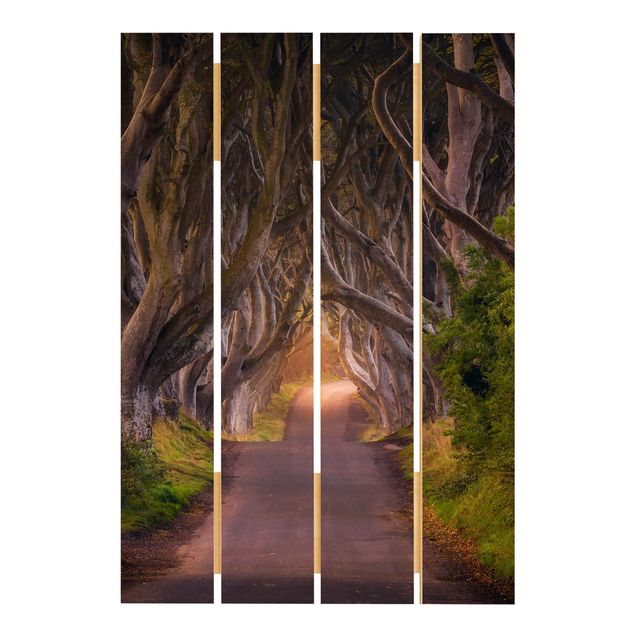 quadro de madeira para parede Tunnel Of Trees