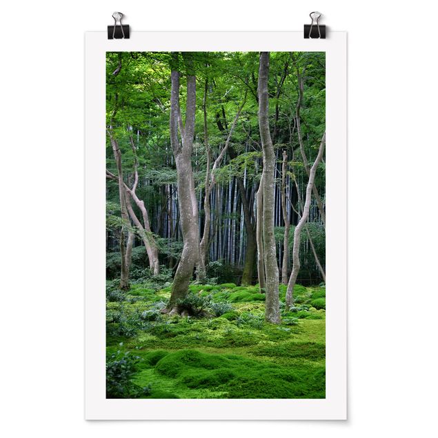 Posters paisagens Japanese Forest