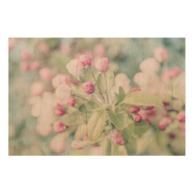 Quadros em madeira flores Apple Blossom Bokeh Light Pink