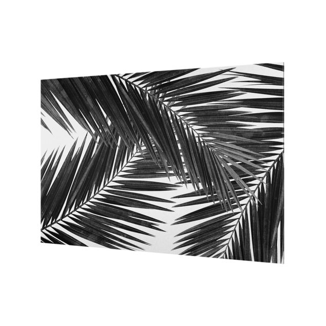 Painel anti-salpicos de cozinha View Over Palm Leaves Black And White