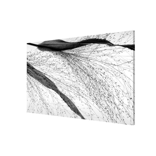 Quadros florais Delicate Reed With Subtle Buds Black And White