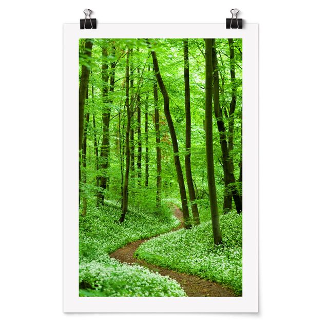 Posters paisagens Romantic Forest Track