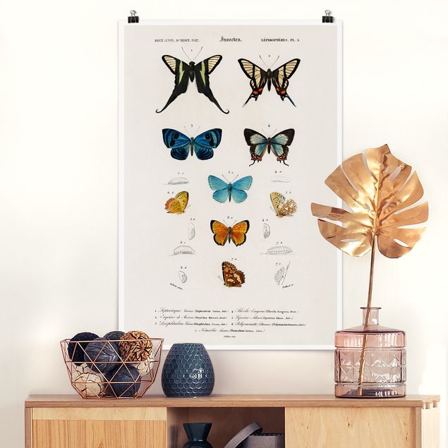 decoraçao cozinha Vintage Board Butterflies I