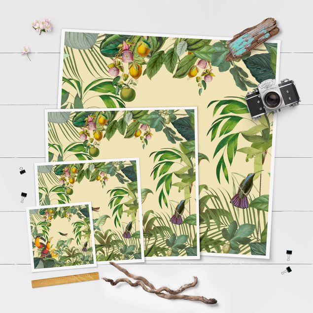 Quadros decorativos Vintage Collage - Birds In The Jungle