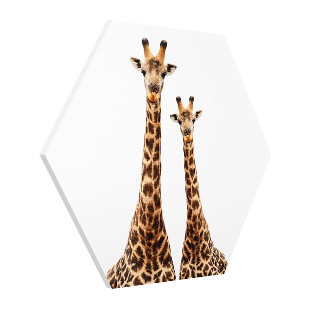 quadro animais quarto bebé Portait Of Two Giraffes