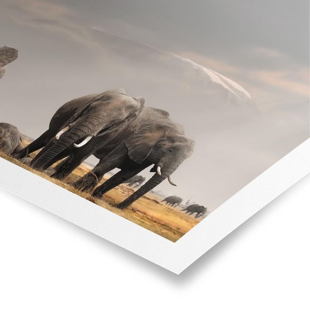 Posters paisagens Elephants in the Savannah