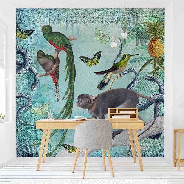 pel de parede borboletinhas Colonial Style Collage - Monkeys And Birds Of Paradise