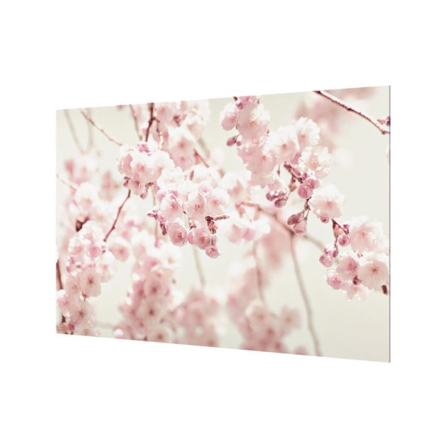 Painel anti-salpicos de cozinha Dancing Cherry Blossoms