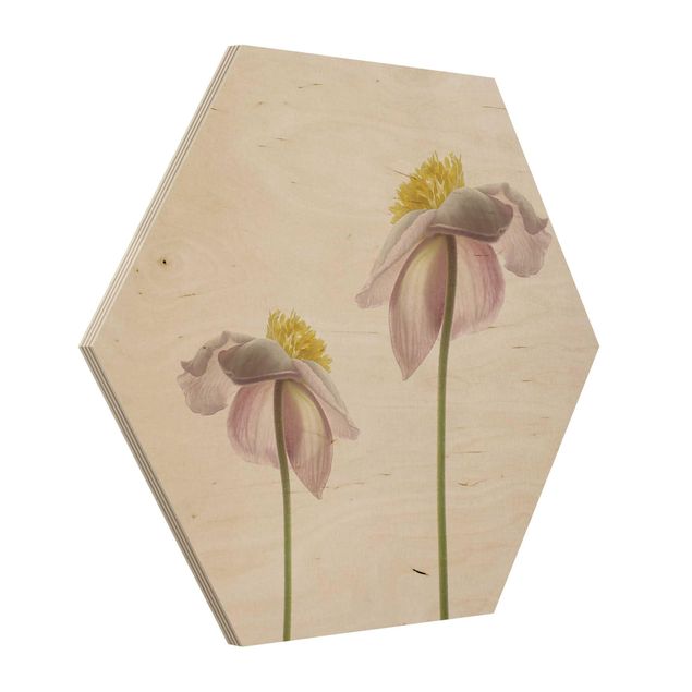 quadros em madeira para decoração Pink Anemone Blossoms