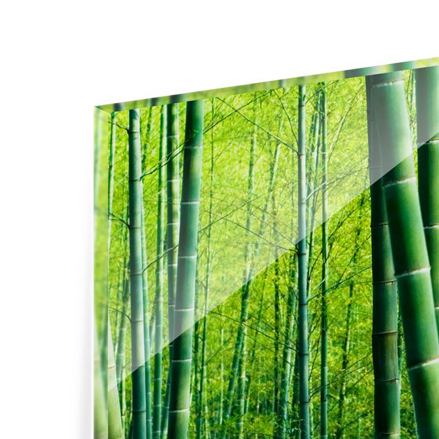 Painel anti-salpicos de cozinha Bamboo Forest