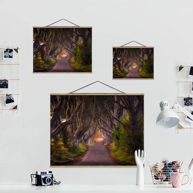 quadros decorativos para sala modernos Tunnel Of Trees