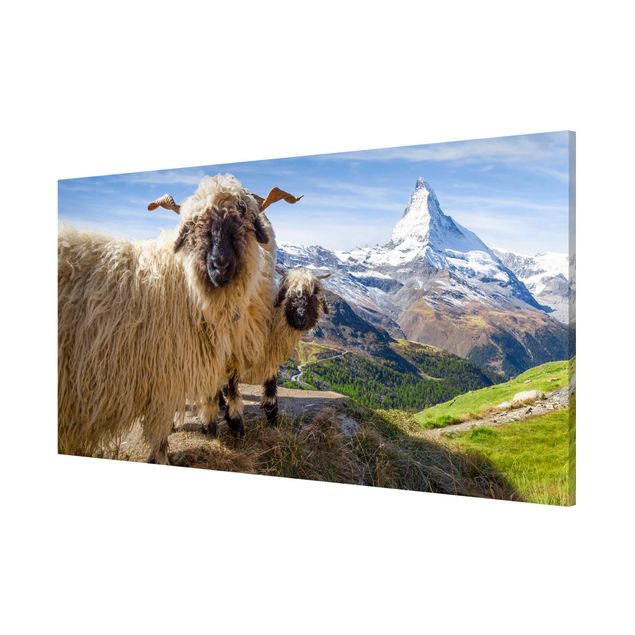 Quadros montanhas Blacknose Sheep Of Zermatt