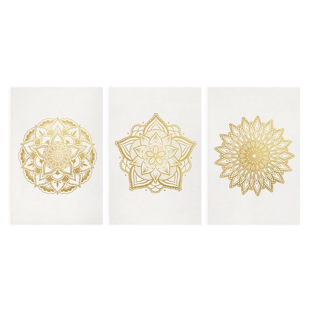 Quadros decorativos Mandala Flower Sun Illustration Set Gold