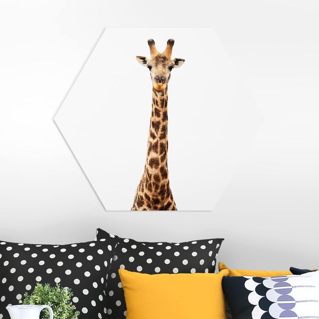 decoração quarto bebé Giraffe head